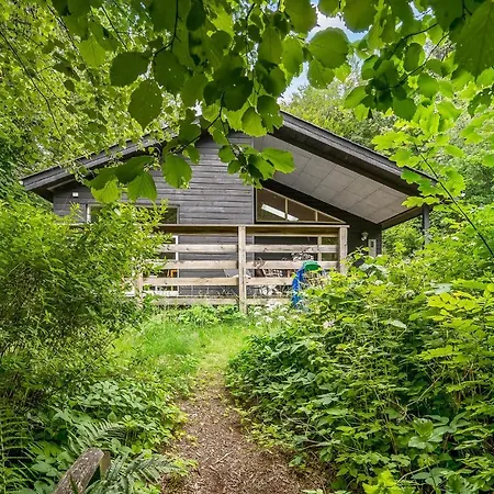 Pet Friendly In With Wifi